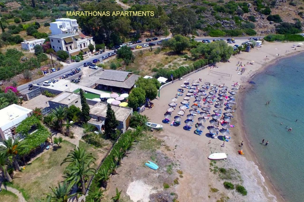 Apartment With Sea View And Balcony 60M From Beach Aegina المظهر الخارجي الصورة