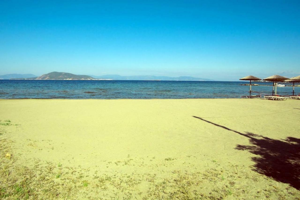 Apartment With Sea View And Balcony 60M From Beach Aegina المظهر الخارجي الصورة