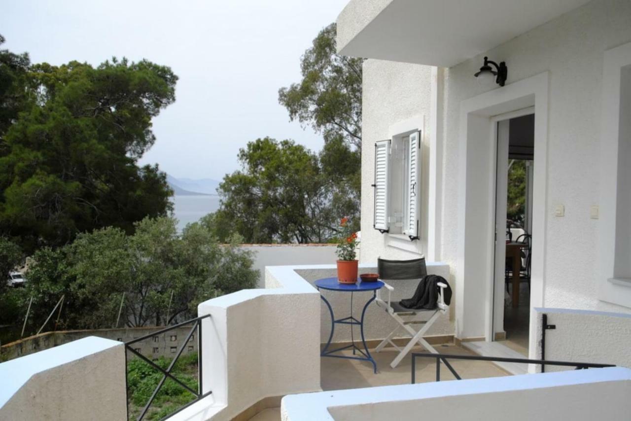 Apartment With Sea View And Balcony 60M From Beach Aegina المظهر الخارجي الصورة